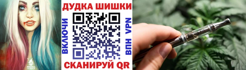 МЕГА ссылка  Торопец  Бошки Шишки сатива 